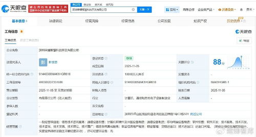 荣耀成立智慧科技开发公司，注册资本1亿专注信息技术咨询服务